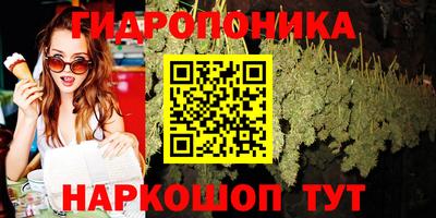 стафф Рязань